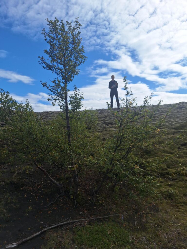 Stakt tré í jökulkeri.